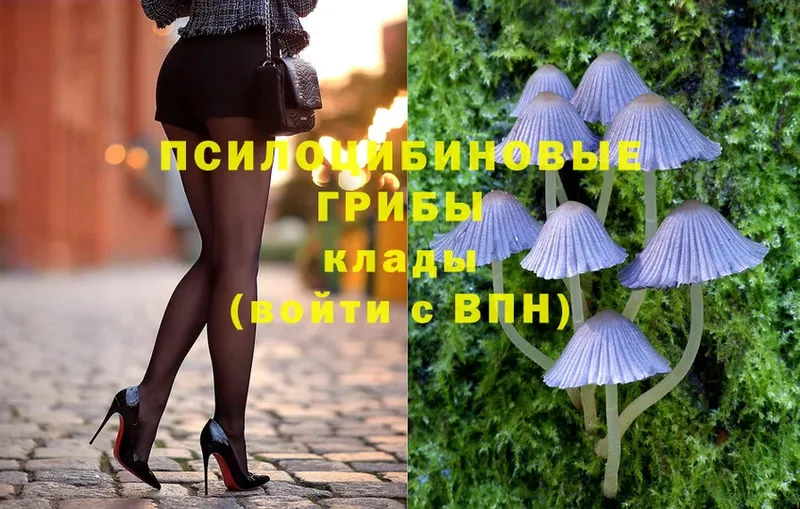 Галлюциногенные грибы Magic Shrooms  Асбест 